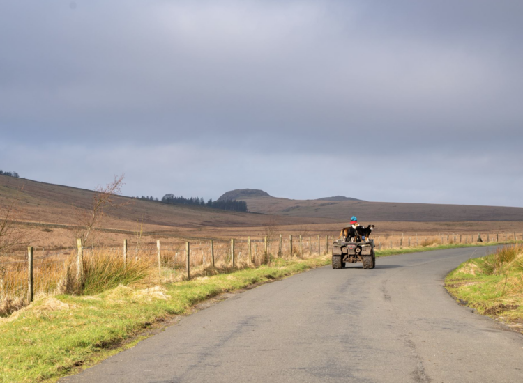 Looking at a rural Cumbrian scene. A road snakes through the landscape. On the road is a quad bike driven by a person with sheepdogs on the back of it.