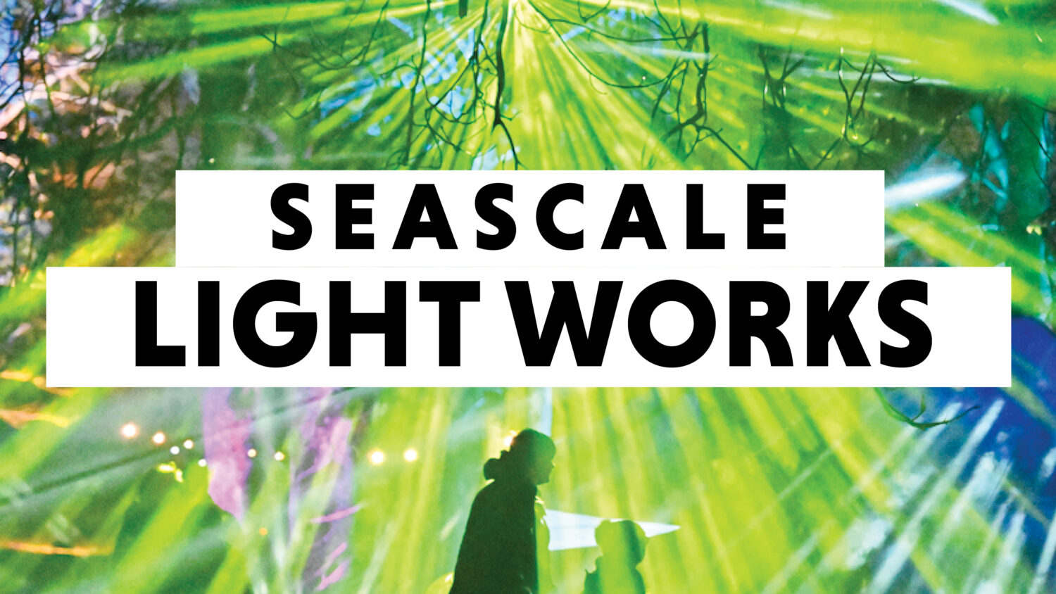 Seasclae Light Works