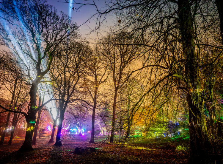 Light Works 2026